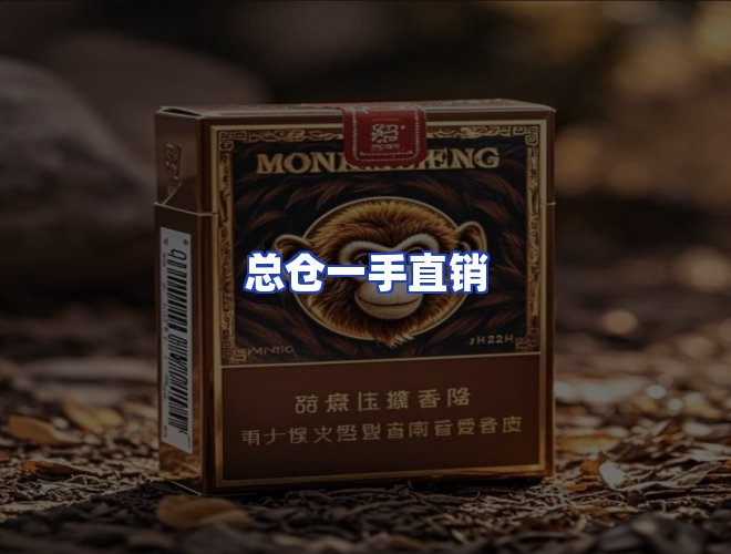 专业团队